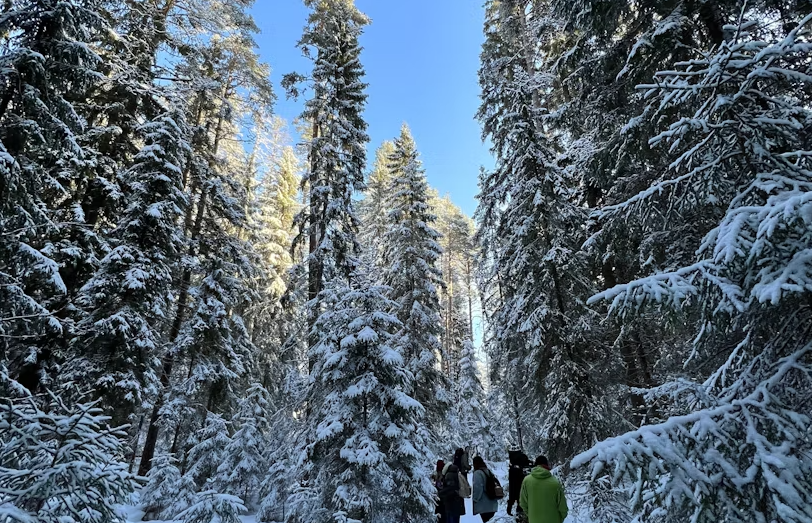 Winter wonderland hike